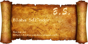 Blaha Sándor névjegykártya
